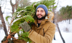Иммунолог успокоила аллергиков перед Новым годом