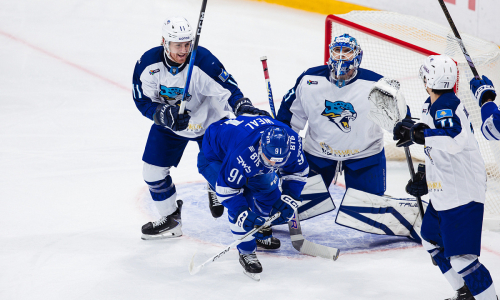 Видео шайб матча КХЛ «Динамо» — «Барыс» 2:4