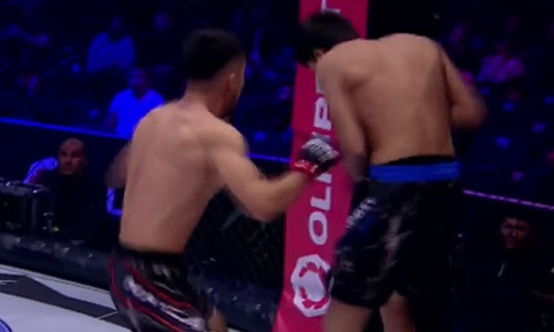 Быстрым нокаутом завершился бой Казахстан — Узбекистан в ММА