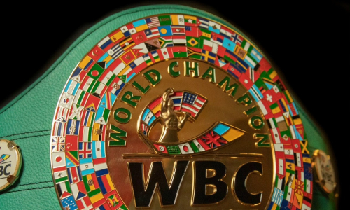 WBC призвали дать Казахстану бой за титул чемпиона мира