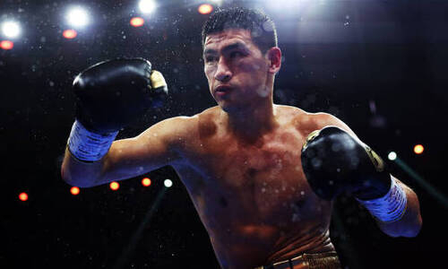 Стало известно, когда вернется Дмитрий Бивол на ринг