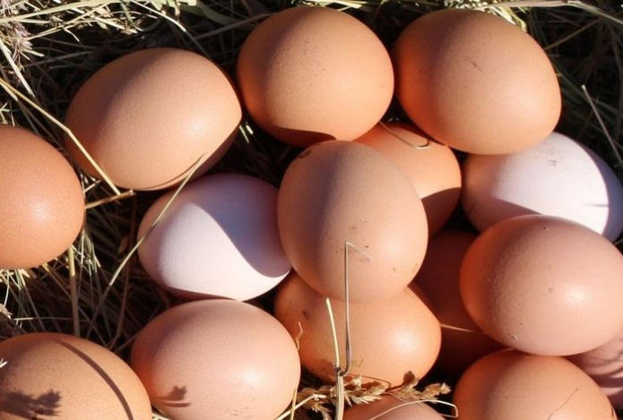 Ученых удивило влияние куриных яиц на качество сна