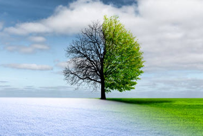 Времена года на Земле не синхронизированы