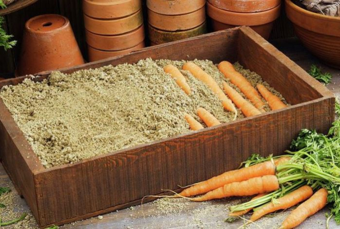 Как правильно хранить овощи