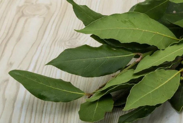 Как использовать лавровый лист при стирке — неожиданные советы