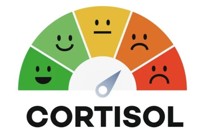 Как снизить кортизол в домашних условиях