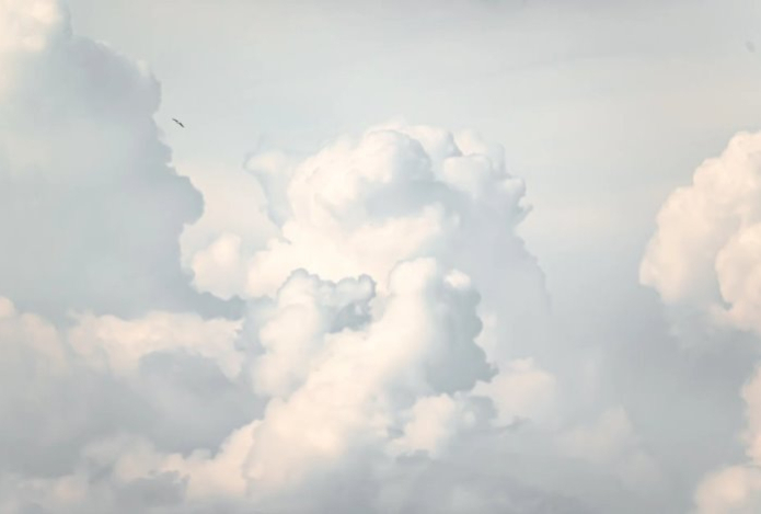 Объявлен главный цвет 2026 года