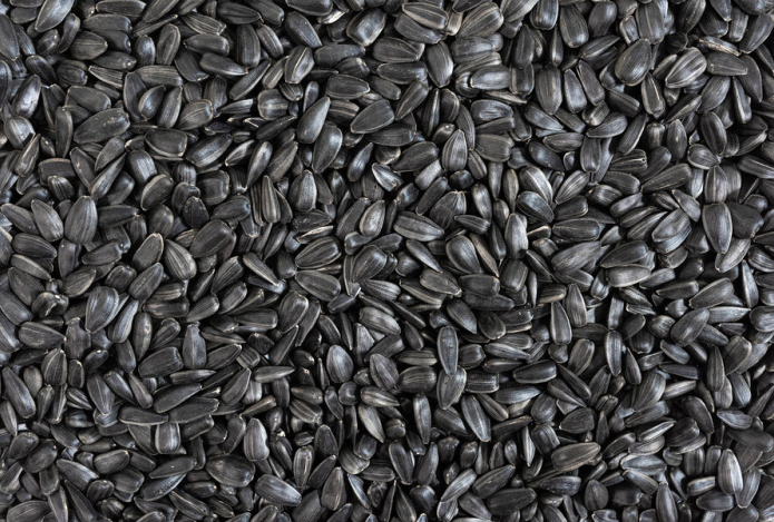 Привычка постоянно грызть семечки зубами оказалась опасной