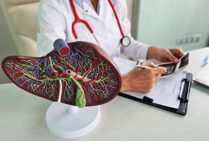 «Клетки-зомби» могут причиной тяжелого воспаления печени