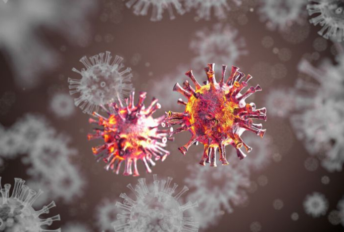 Какую смертельную опасность несут вирусы в сточных водах