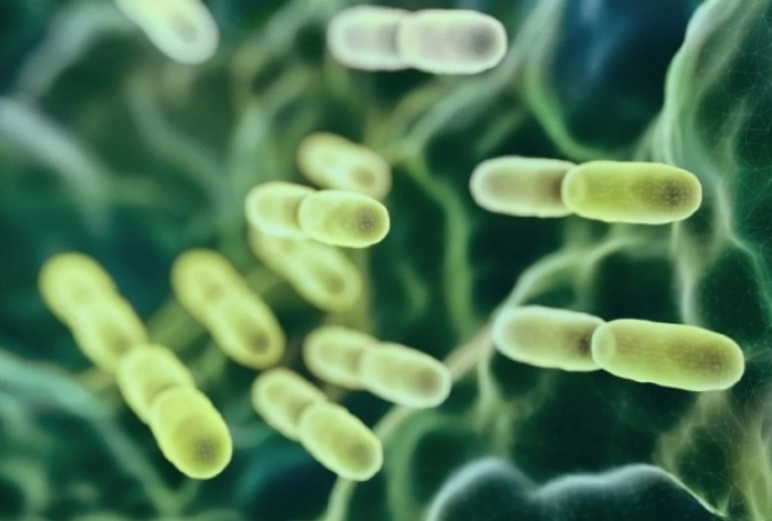 Какую смертельную болезнь вызывают кишечные бактерии