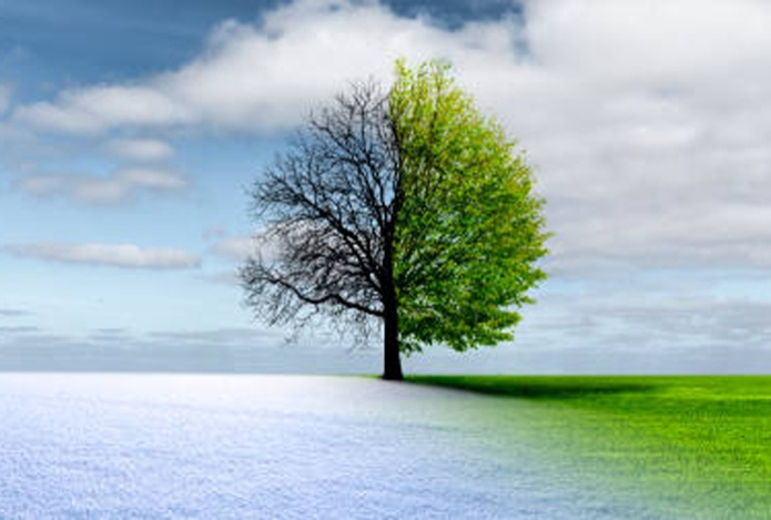 Времена года на Земле не синхронизированы