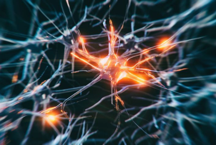 Какие простые привычки омолаживают мозг на восемь лет