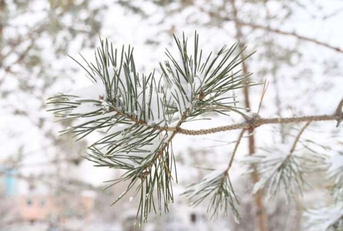 Что такое снеготерапия?