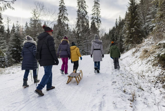 Эксперт озвучил лучшие зимние виды спорта для всей семьи