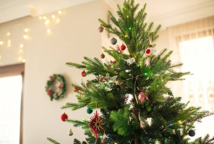 Названы три главные опасности живой ёлки дома