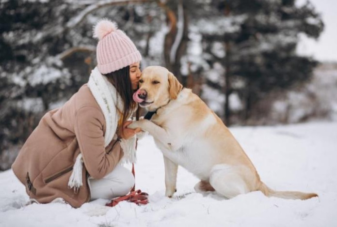 Почему люди неверно понимают эмоции собак