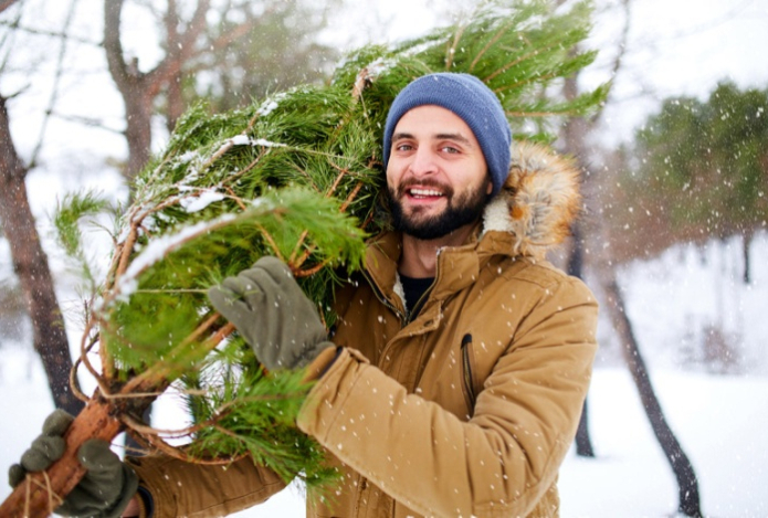 Иммунолог успокоила аллергиков перед Новым годом