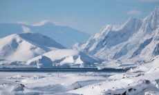 «Не будите то, что спит». Находка в Антарктиде повергла в ужас учёных