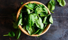 Как хранить свежую зелень в холодильнике