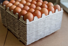 Не выбрасывайте лотки от яиц — им можно найти неожиданное применение