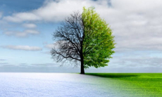 Чем пугают климатологи после рекордного 2025 года