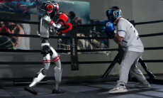 В Узбекистане изобрели робота-тренера по боксу. Видео