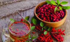 Соединение из барбариса замедлило старение клеток сосудов