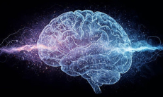 Названо главное условие хорошей работы мозга