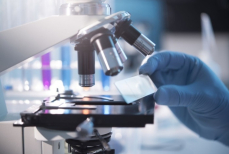 Ученые нашли «молекулу долголетия», восстанавливающую память