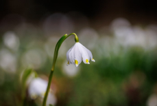 Как отдохнут казахстанцы в феврале 2026 года