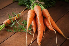 Всю жизнь ели морковь неправильно? Как действительно получить витамин А