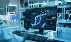 В организме найден «выключатель» воспаления