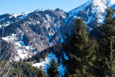 Живописные кадры природы близ Алматы восхитили соцсети