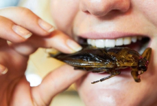 «На вкус как попкорн» — американец рассказал о своём рационе