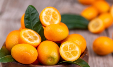 Лучший цитрус! Все о загадочном кумквате