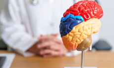 Названа неочевидная причина ускоренного ухудшения памяти