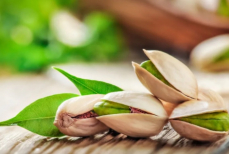 Всемирный день фисташки — когда отмечают и почему «смеющийся орех» дорого стоит