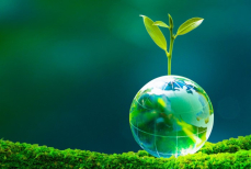 Ученые приблизились к разгадке происхождения жизни на земле