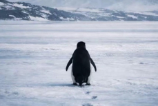 Мем про выгорание, в котором все узнали себя. Видео