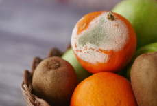 Распространенная привычка может привести к быстрой порче фруктов и овощей