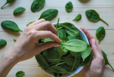 В чем польза шпината для здоровья