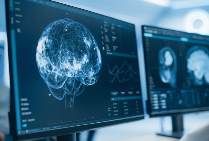 Мозг ящериц, птиц и людей отдыхает по древнему «правилу»