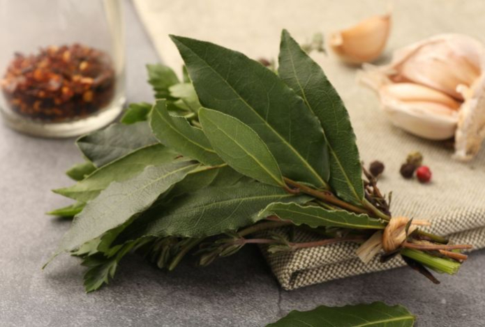 Чем полезен лавровый лист