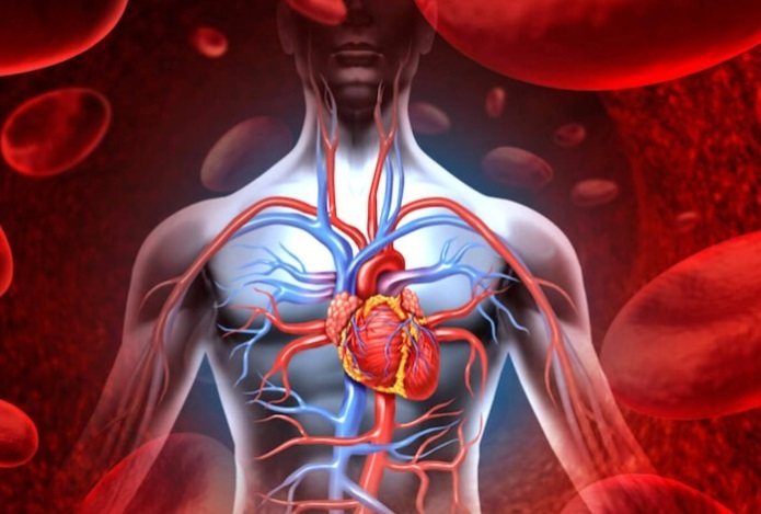 Кардиолог раскрыл правду о неработающих средствах, опустошающих кошелек