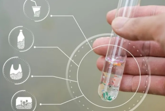 Микропластик может напрямую повреждать поджелудочную, выяснили ученые