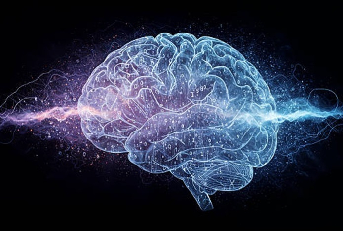 Названо главное условие хорошей работы мозга