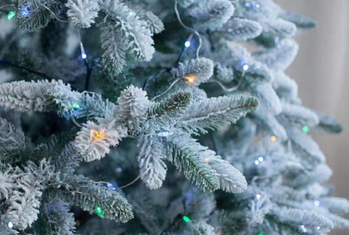 Оставить нельзя выбросить — когда пора избавляться от живой новогодней елки