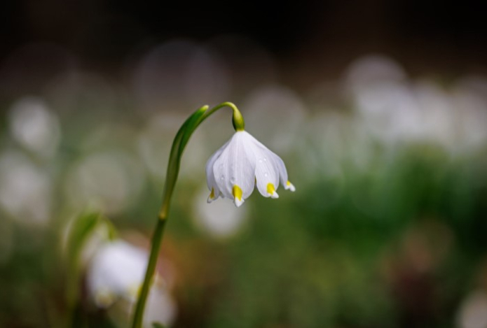 Как отдохнут казахстанцы в феврале 2026 года