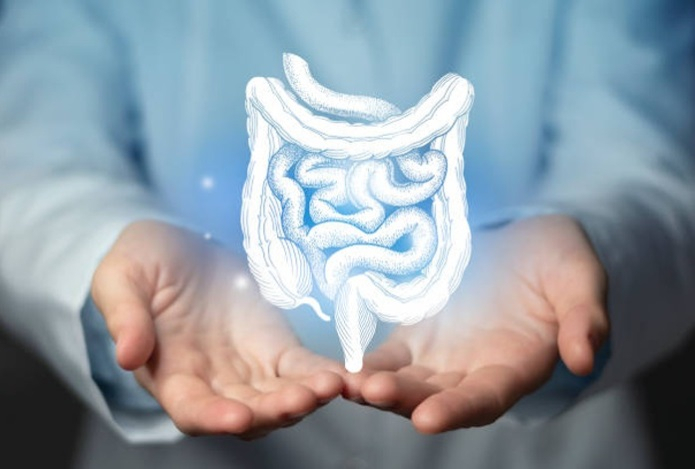 Болезни кишечника предложили лечить слизью ракообразных